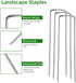 30 Pack Lawn Staples, Premium Garden Landscape Staples, Galvanized Heavy-Duty Gauge Stakes, U-Shaped Tent Stakes, Anti-Rust Fence Netting Pins Gro...