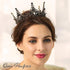 Aiosy Halloween Black Crown Rhinestone Tiara and Crowns Crystal Queen Tiara Gothic Hair Accessories Wedding Crowns Costume Baroque Crown for Women...