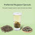 HANFANGLING Mugwort Leaf Herbal Tea Loose Leaf Natural Mugwort Sprouts 1.76oz...