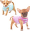 Frienperro Small Dog Shirt, 2-Pack Dog Clothes for Small Dogs Girl, Breathable Cotton Striped Teacup Chihuahua Clothes, Sleeveless Small Yorkie Pu...