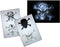 UMR-Design AS-063 pirate skull Airbrush Stencil Template Step by Step Size M...