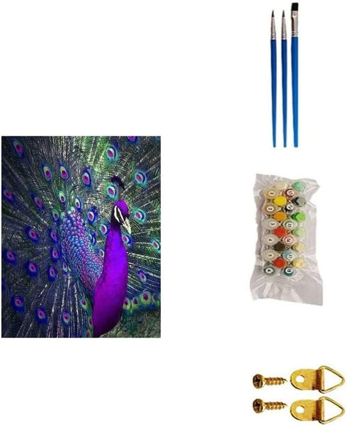 BOMUVI Paint by Number for Adults Beginner Paint by Numbers for Adults Peacock Paint by Number Kits Acrylic Painting Paint by Number Kits on Canva...