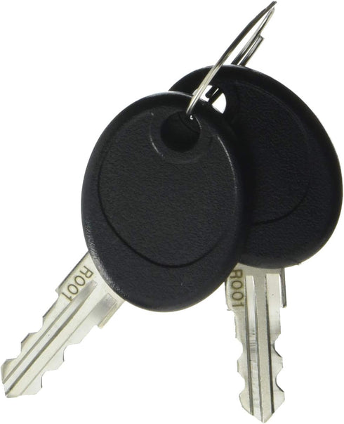 Briggs and Stratton 207652GS Key Set...
