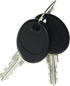 Briggs and Stratton 207652GS Key Set...