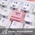Custom Keycaps - Light Transmission Keycaps - Classic Retro Mechanical Backlit Keyboard Keycap. Suitable for Most MX Switches RGB PC Gamer Mechani...