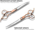 Dog Pet Grooming Scissors Shears Set,Professional 5 in 1 Hairs Tool Accessories for Dogs, Cats and Other Animals (Rose Glod)...