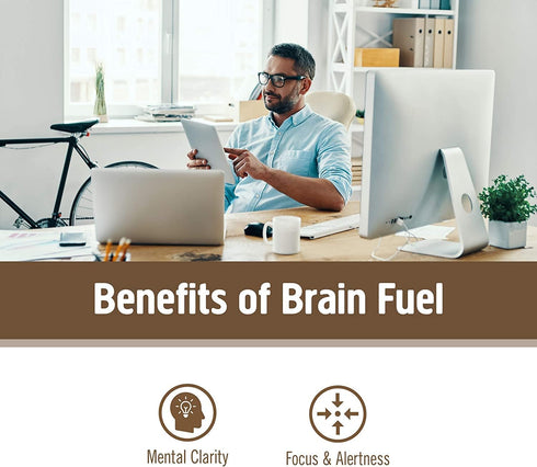OM Mushroom Superfood Brain Fuel Mushroom Powder Capsules Superfood Supplement, 90 Count, 30 Days, Lion's Mane, Reishi Blend plus Folate, Mental C...