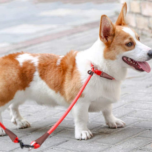 MayPaw Slip Collar Nylon Rope Choke Collar for Dog Training- No Pull Round Martingale Dog Collar for Small Medium Large Dogs...