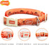 LaRoo Waterproof Dog Collar Heavy Duty PVC Pet Collars for Training, Cool Design & Pull Resistance Neckband for Pool Party Beach Outdoor Playing...