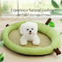 Cute Fruits Pet Cooling Summer Mat, Pet Straw Mat with Pillow for Dogs Cats, Pet Rattan Woven Breathable Comfort Mat Sleeping Pad for Dogs Cats Pu...