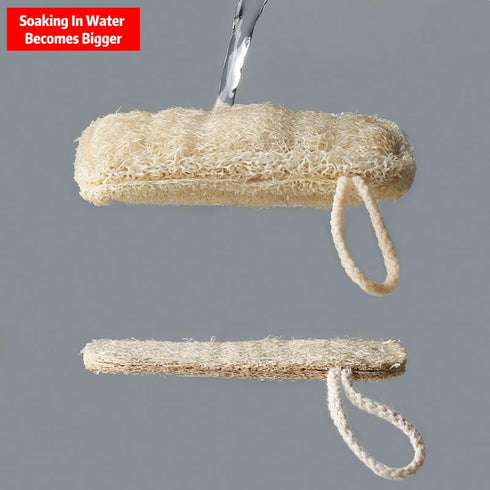 Loofah Sponge Dishwashing Brush,5-Piece Set,Suitable for Kitchen Cleaning dishwashing and Bathroom Cleaning Soft and Natural luffa,100% Plastic-Fr...