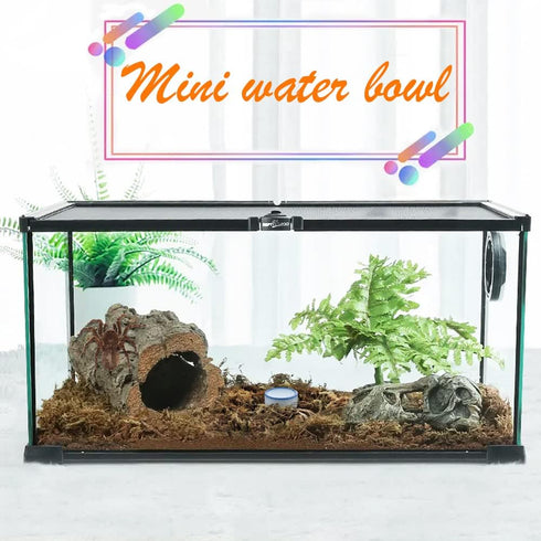 6 Pcs Spider Micro Water Bowl Mini Ceramic Dish for Spider Tarantula Millipede Tiny Reptile (Small: 0.86" D, 0.43" H)...