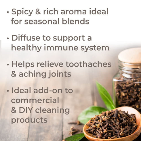 Plant Therapy Clove Bud Essential Oil 100% Pure, Undiluted, Natural Aromatherapy, Therapeutic Grade 10 mL (1/3 oz)...
