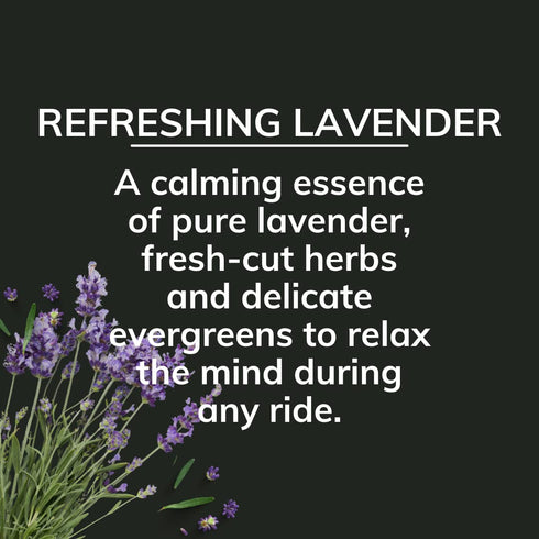 Citrus Magic On The Go Odor Absorbing Solid Car Air Freshener, Refreshing Lavender, 8-Ounce, Pack of 1...
