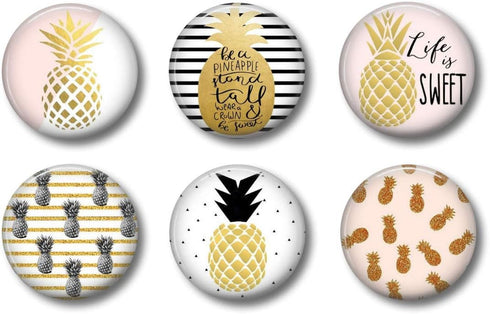 Locker Magnets for Girls - Pink and Gold Pineapples...
