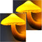 AUSAYE 2Pack Mushroom Night Light Plug in Lamp,Led Lights for Adults Kids Baby Children NightLight Wall Decor Lamp Bedroom Bathroom,Toilet,Stairs,...