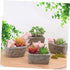 Yardwe 1pc Ceramic Planter Plant Pots Ceramic Cactus Planter Resin Planter Unique Pot Resin Pot Decorative Airplant Pot Cactus Pot Mini Container ...
