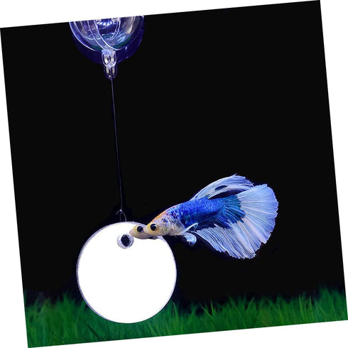 Fish Tank Accessories Beta Fish Tank 1 Set Betta Training Mirror Double Sided Mirror Acrylic Float 6cm Transparent Beta Fish Bowl Fish Tank Decor...