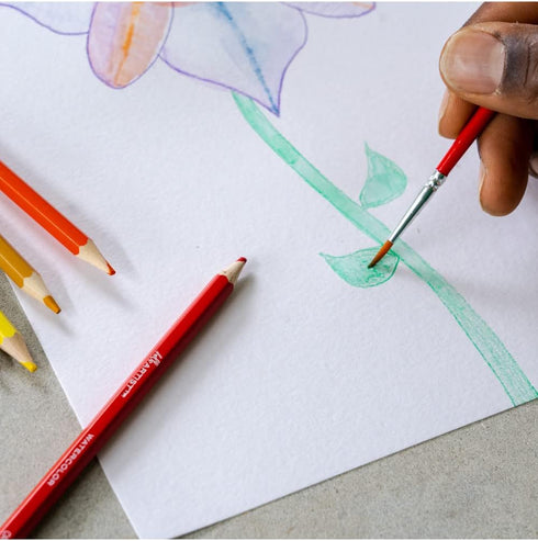 Hello, Artist! Watercolor Pencil Set 11 Pieces, Multi...