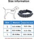 Spiked Studded Dog Collar, Genuine Leather Dog Collar, Adjustable Pet Collars for Medium Large Bulldog Pitbull Mastiff Poodle Boxer (M:29-38cm, Re...