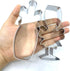 LILIAO Champagne and Champagne Glass with Ribbon Cookie Cutter for Wedding/Engagement - Stainless Steel...