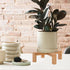 Small Wood Plant Stand, Mid Century Modern Succulents Plant Pot Holder Decorative Planter Stand for Small Indoor Plants (Natural)...