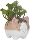 VanEnjoy 4.7 inch Large Version Cat Succlent Pots Cat Pot, with Drainage Hole, Flower Pot, Handmade Ceramic Ornaments Cat Gifts for Cat Lovers Off...