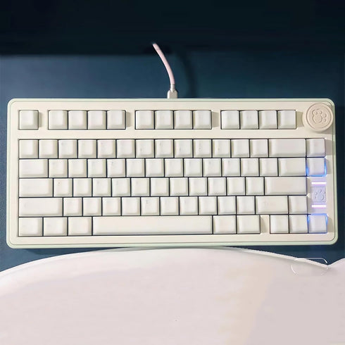114 Keys White Jade Keycaps PBT Doubleshot Cherry Profile Keycap Set Fit for 61/87/104/108 Mechanical Keyboard Cherry Mx Gateron Switches...