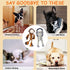 Rope Dog Toys for Small Dogs, Dog Tug of War Toys, Squeaky Dog Toys to Keep Them Busy, Interactive Dog Toys for Aggressive Chewers...