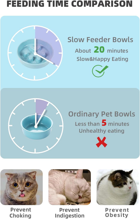 Slow Feeder Cat Bowls, Ceramic Fun Slow Eater Bowl for Cats (Turquoise)...