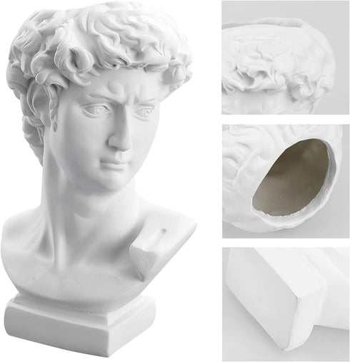 David Statue Vase - 6 Inch Greek Bust Head Aesthetic Planter White Home Decor Roman Style Resin Succulent Flower Planter Pot Sculpture Brushes Hol...
