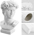 David Statue Vase - 6 Inch Greek Bust Head Aesthetic Planter White Home Decor Roman Style Resin Succulent Flower Planter Pot Sculpture Brushes Hol...