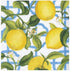 Caspari Cocktail Napkins Seville Paper in Ivory-20 Per Package, (11910C)...
