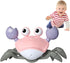 Crawling Crab Baby Toy,Fantastic Creatures Toys Infant Sensory Tummy time Toys 3 4 5 6 7 8 9 10 11 12 Babies boy Girl 3-6 6-12 Learning to Crawl 9...