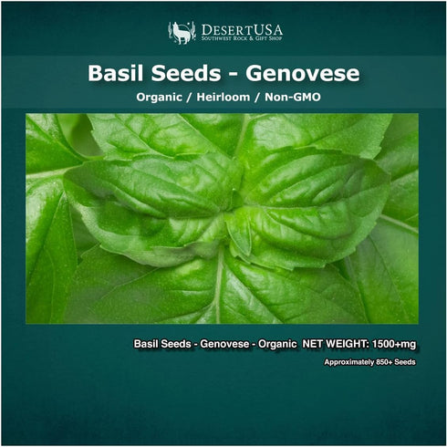 Organic Basil Seeds - Genovese - Ocimum basilicum - Seeds for Planting, 1550+mg - 860+ Herb Seeds, Indoor or Outdoor Growing, Heirloom, Non-GMO...