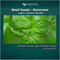Organic Basil Seeds - Genovese - Ocimum basilicum - Seeds for Planting, 1550+mg - 860+ Herb Seeds, Indoor or Outdoor Growing, Heirloom, Non-GMO...