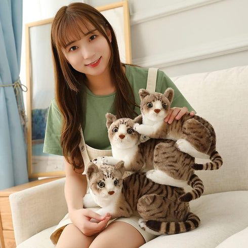Siamese Cat Stuffed Animal, Shorthair Cat Realistic Plush Cat Stuffed Toys, Gift for Kids 12inches (A)...