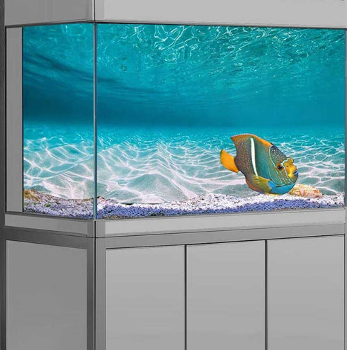 30X18IN Natural Undersea Aquarium Background, Undersea Beach Fish Tank Background, with 8 EVA Double-Sided Tape...
