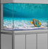 72X18IN Natural Undersea Aquarium Background, Undersea Beach Fish Tank Background, with 8 EVA Double-Sided Tape...