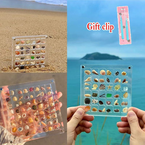 Seashell Display Box, Acrylic Magnetic Seashell Display Box, 36/64 Grid Display Cases for Collectibles, DIY Transparent Seashell Storage Box Displ...
