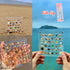 Seashell Display Box, Acrylic Magnetic Seashell Display Box, 36/64 Grid Display Cases for Collectibles, DIY Transparent Seashell Storage Box Displ...
