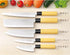Kakuse Koumei Nakamua Japanese Knife Set of 5 2019 New Ver....