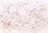 Laeacco White Paper Rose Flowers Backdrop 7x5ft Floral Roses Photography Background Blossoming Scene Mother's Birthday Girls Photo Portraits Wallp...