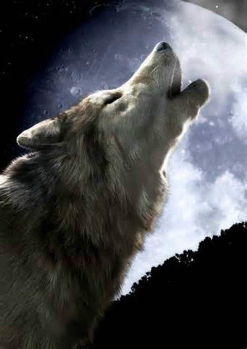 Wolf Howling Edible Icing Image 1/4 Sheet...