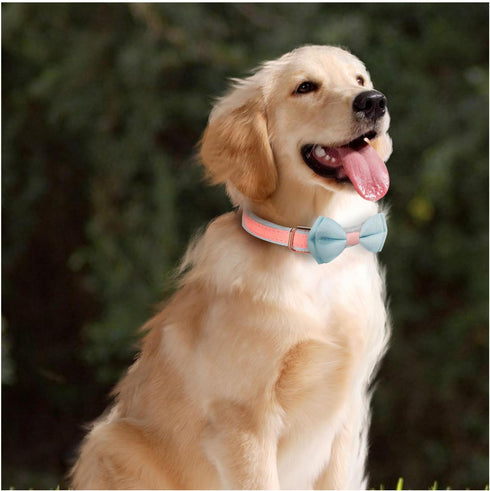 Dog Collar,Metal Buckle Pet Collar Suede Dog Collar Soft&Comfy Adjustable Pet Gift Collars with Bow for Small Medium Large Dogs (Medium, Pink&Blue...