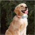 Dog Collar,Metal Buckle Pet Collar Suede Dog Collar Soft&Comfy Adjustable Pet Gift Collars with Bow for Small Medium Large Dogs (Medium, Pink&Blue...
