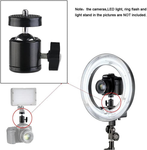 SLOW DOLPHIN Hot Shoe Mount Adapter 360 Degree Swivel Mini Ball Head 1/4 Tripod Screw Head for Cameras, Camcorders, Smart Phone, Gopro, LED Video ...