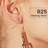 925 Sterling Silver Earring Hooks 200 PCS, Gold Earring Hooks for Jewelry Making, Hypoallergenic Fish Hook Earrings Making Kit, DIY Earring, with ...