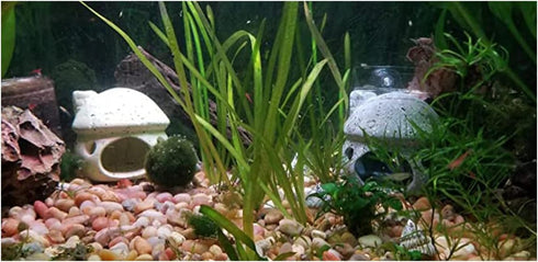 AnRui Aquarium Decorations Ceramic Mushroom House Landscape Aquatic Hideaway Cave Decor Cute Fish Tank Ornament Accessories for Young Shrimp,Short...