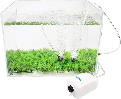 100 Feet Standard 3/16" Aquarium Air Tubing Clear Flexible Airline Tubing for Fish Tank Air Pump Terrariums and Hydroponics...